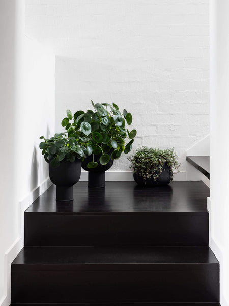 Mona Curve Planters Black