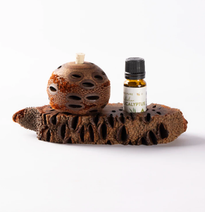 Banksia Pod Essential Oil Stand
