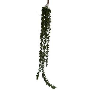 Hanging Artificial Succulent Large