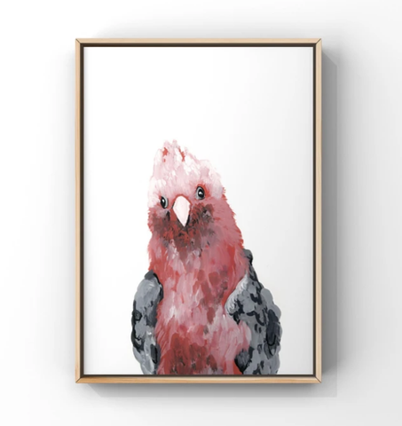 Galah Print