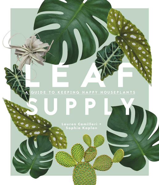 Leaf Supply by Lauren Camilleri & Sophia Kaplan