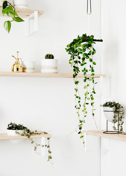 Plant Style by Alana Langan & Jacqui Vidal