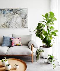Plant Style by Alana Langan & Jacqui Vidal