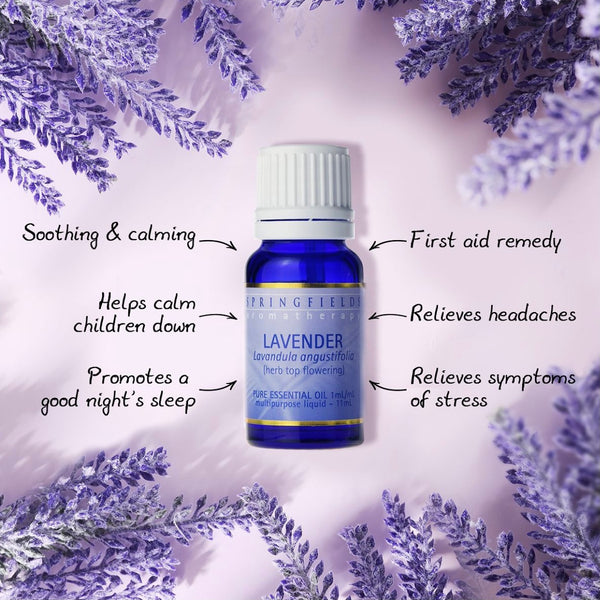 French Lavender Essential Oil 11ml